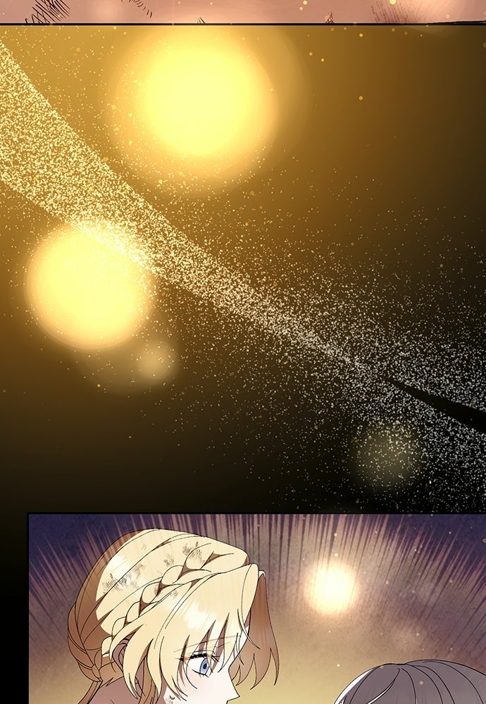 Page 219